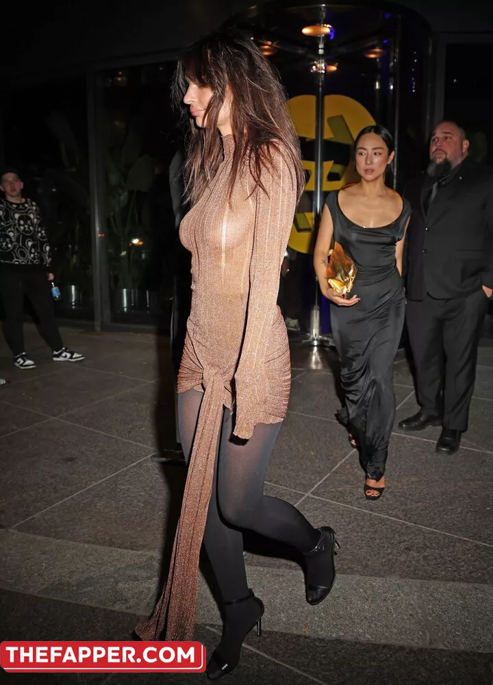  Emily Ratajkowski  Onlyfans Leaked Nude Image #7slMHCy423