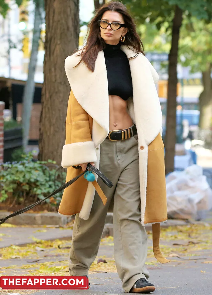  Emily Ratajkowski  Onlyfans Leaked Nude Image #EJSgDAOmZl