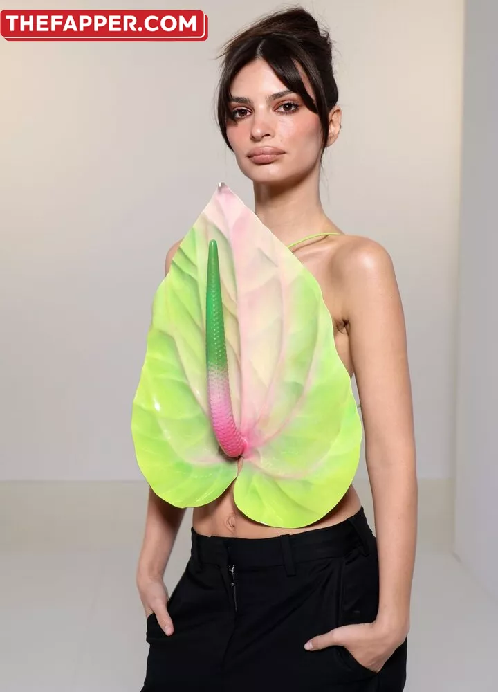  Emily Ratajkowski  Onlyfans Leaked Nude Image #ICTr8ZQjhJ