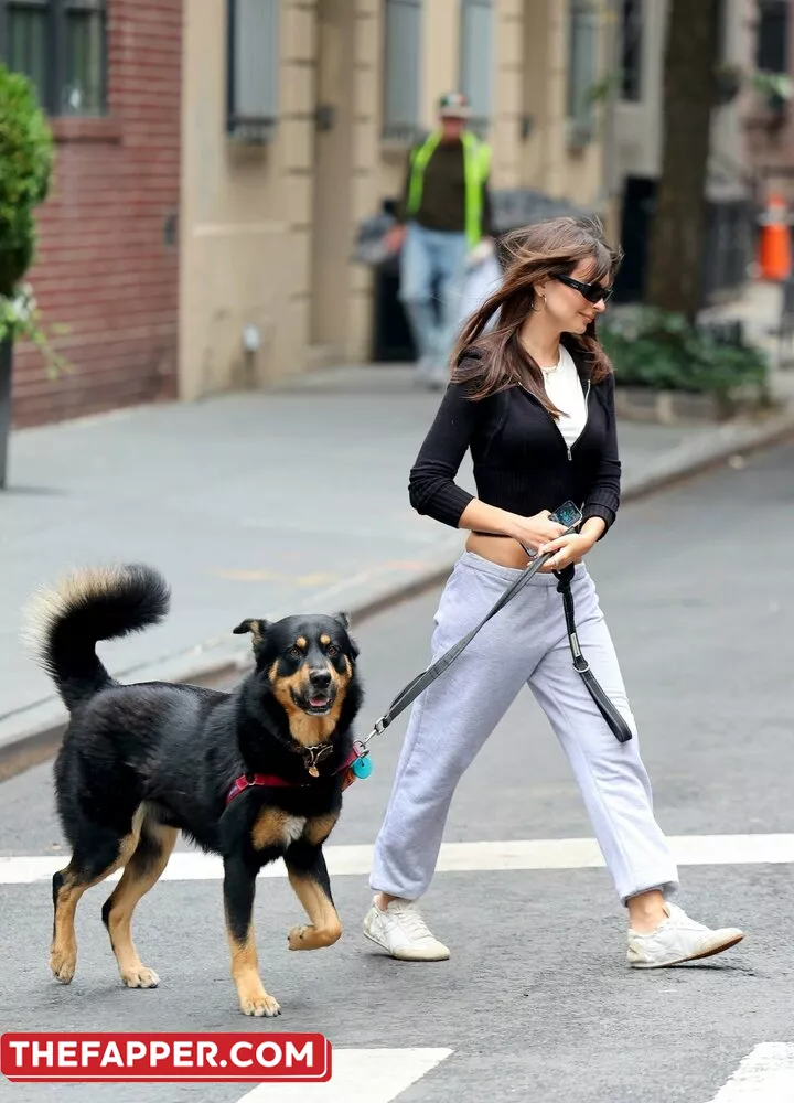  Emily Ratajkowski  Onlyfans Leaked Nude Image #SdrYy4W2rd