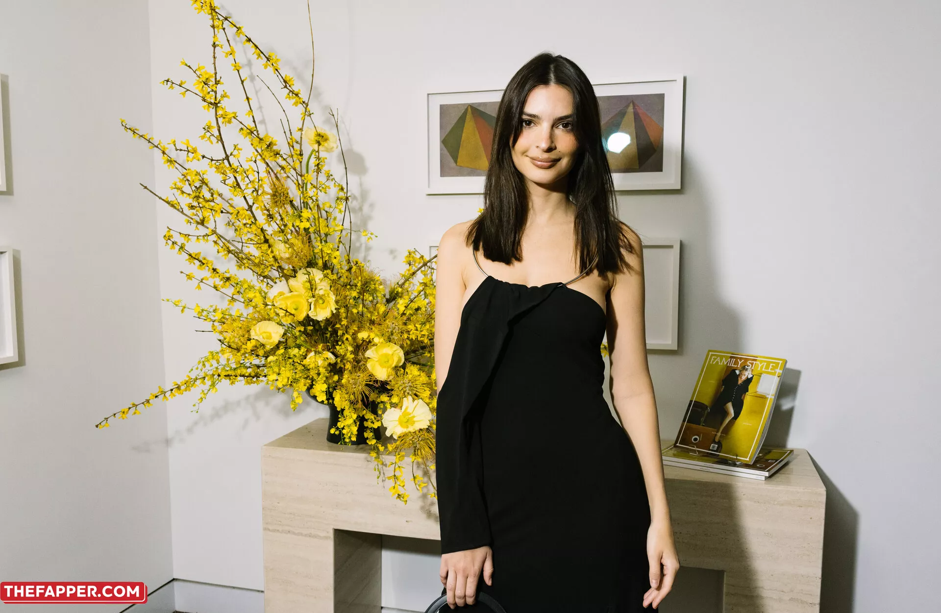  Emily Ratajkowski  Onlyfans Leaked Nude Image #viAGQlwLLz