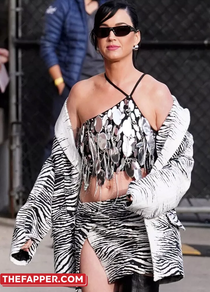  Katy Perry  Onlyfans Leaked Nude Image #1CiaWt5Bng