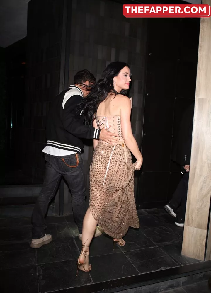  Katy Perry  Onlyfans Leaked Nude Image #2IOEMIYhw9
