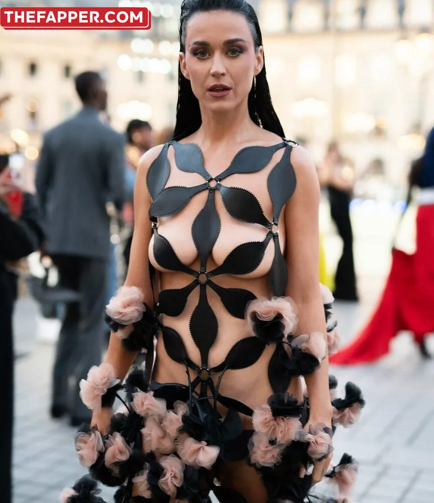  Katy Perry  Onlyfans Leaked Nude Image #33J1E3iBwJ