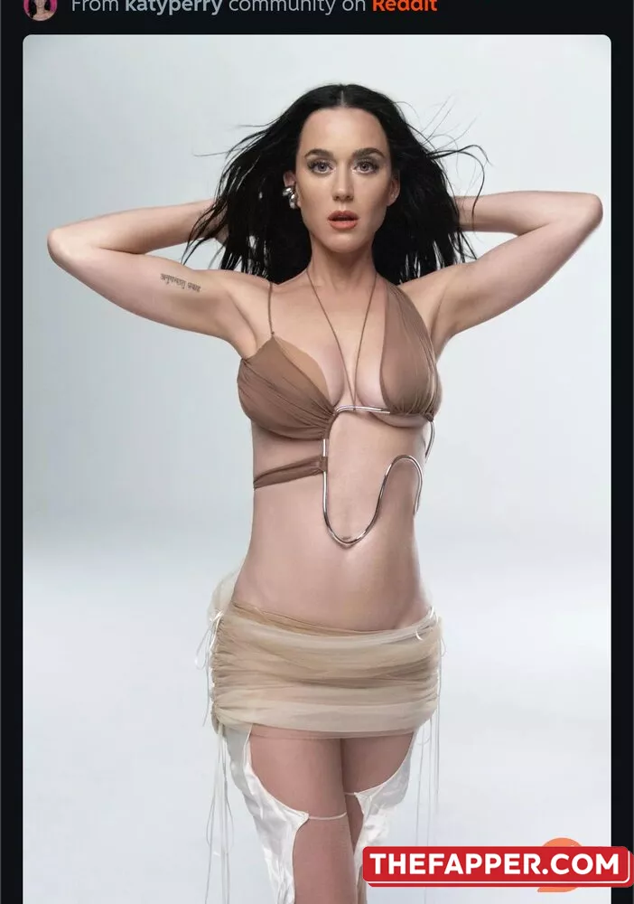  Katy Perry  Onlyfans Leaked Nude Image #39cNQLCQYT