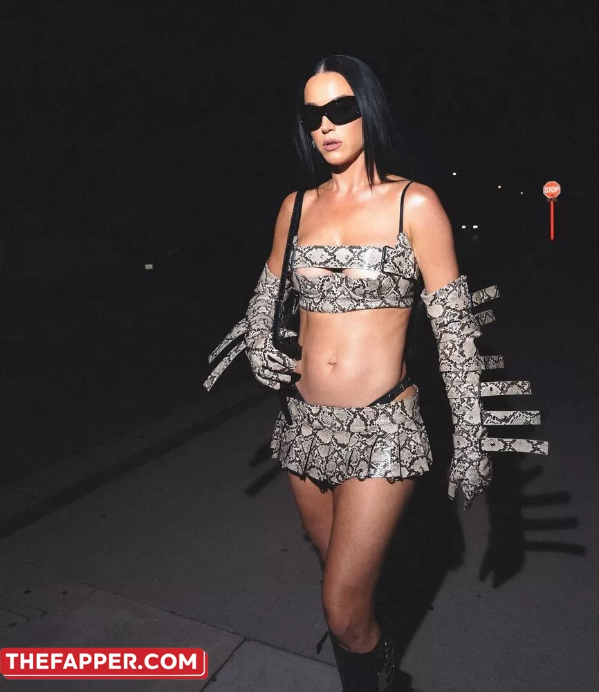  Katy Perry  Onlyfans Leaked Nude Image #6dUhsICRzk