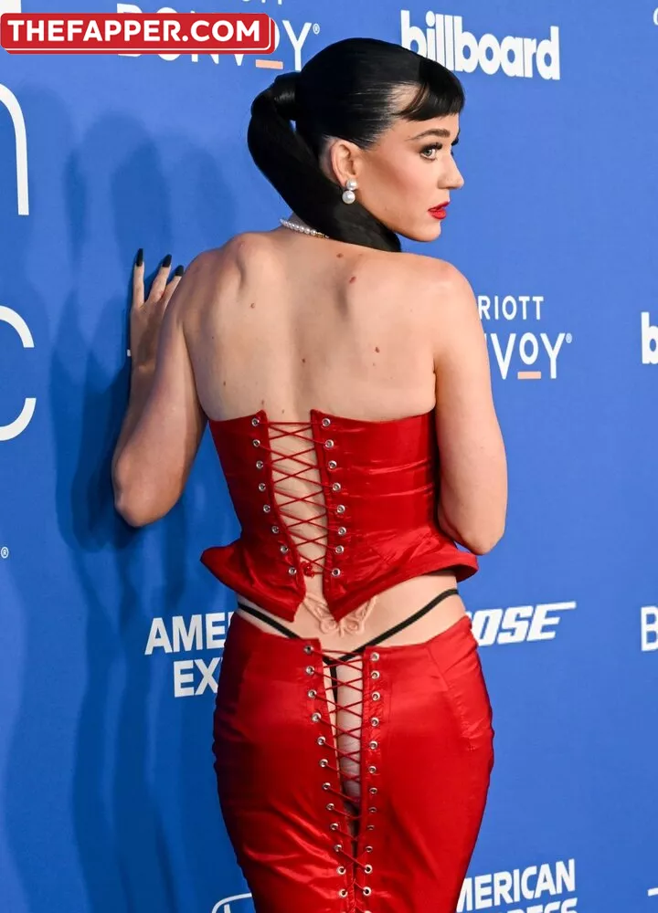  Katy Perry  Onlyfans Leaked Nude Image #9j1ieGLHRY