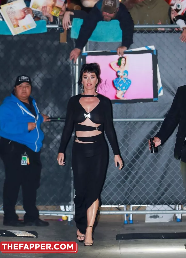  Katy Perry  Onlyfans Leaked Nude Image #9wyLJwhENz