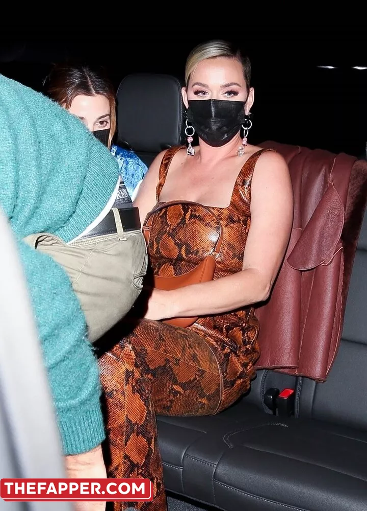  Katy Perry  Onlyfans Leaked Nude Image #DiMNK391PA