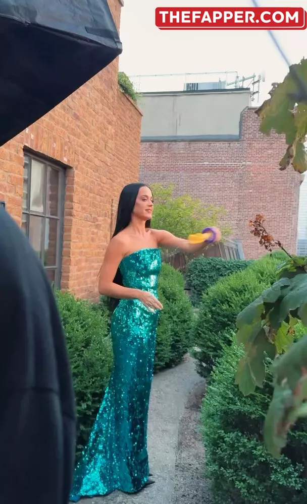  Katy Perry  Onlyfans Leaked Nude Image #ElziEf3Kd9