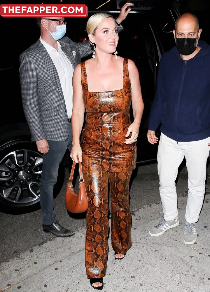  Katy Perry  Onlyfans Leaked Nude Image #K2zGoyxwtf