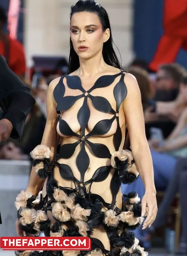  Katy Perry  Onlyfans Leaked Nude Image #N5eDUCpC8I