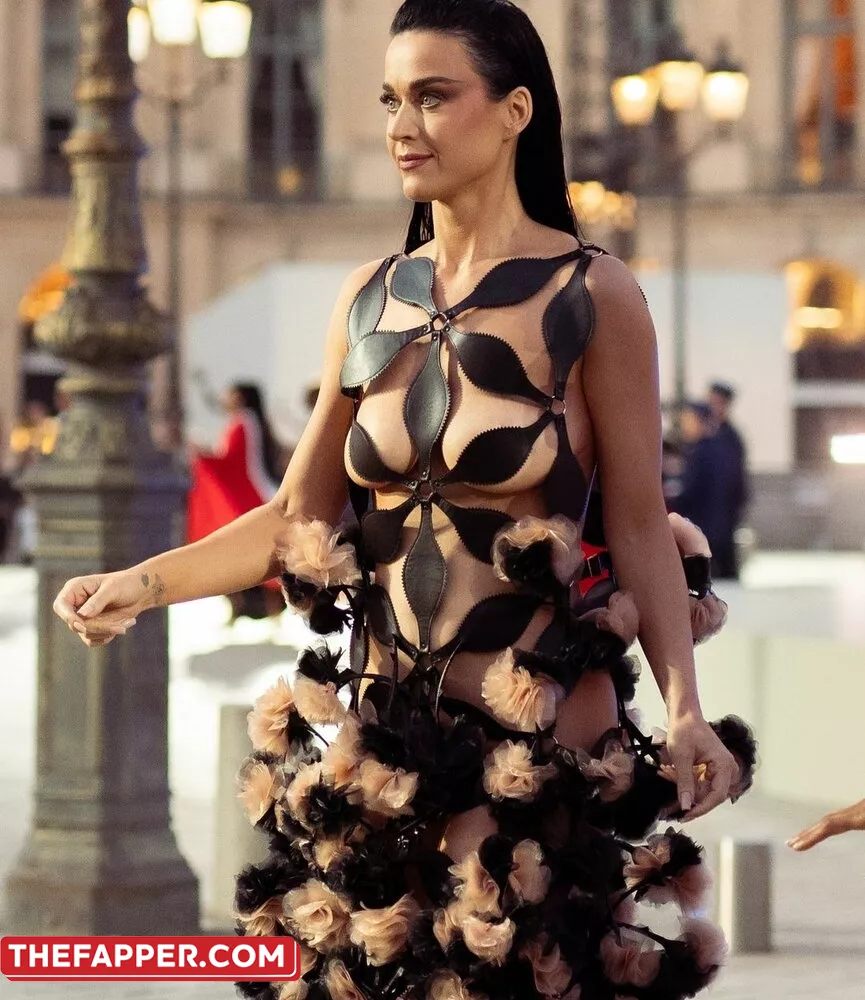  Katy Perry  Onlyfans Leaked Nude Image #ObFiUMZuNp