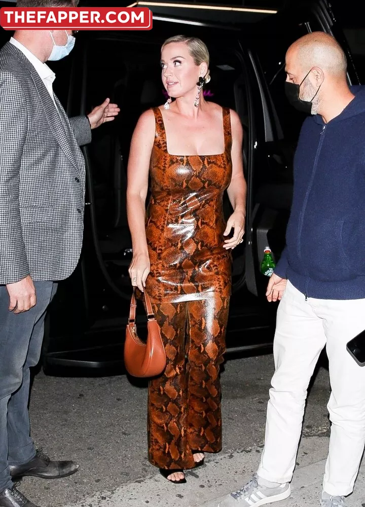  Katy Perry  Onlyfans Leaked Nude Image #Wzvnw426D3