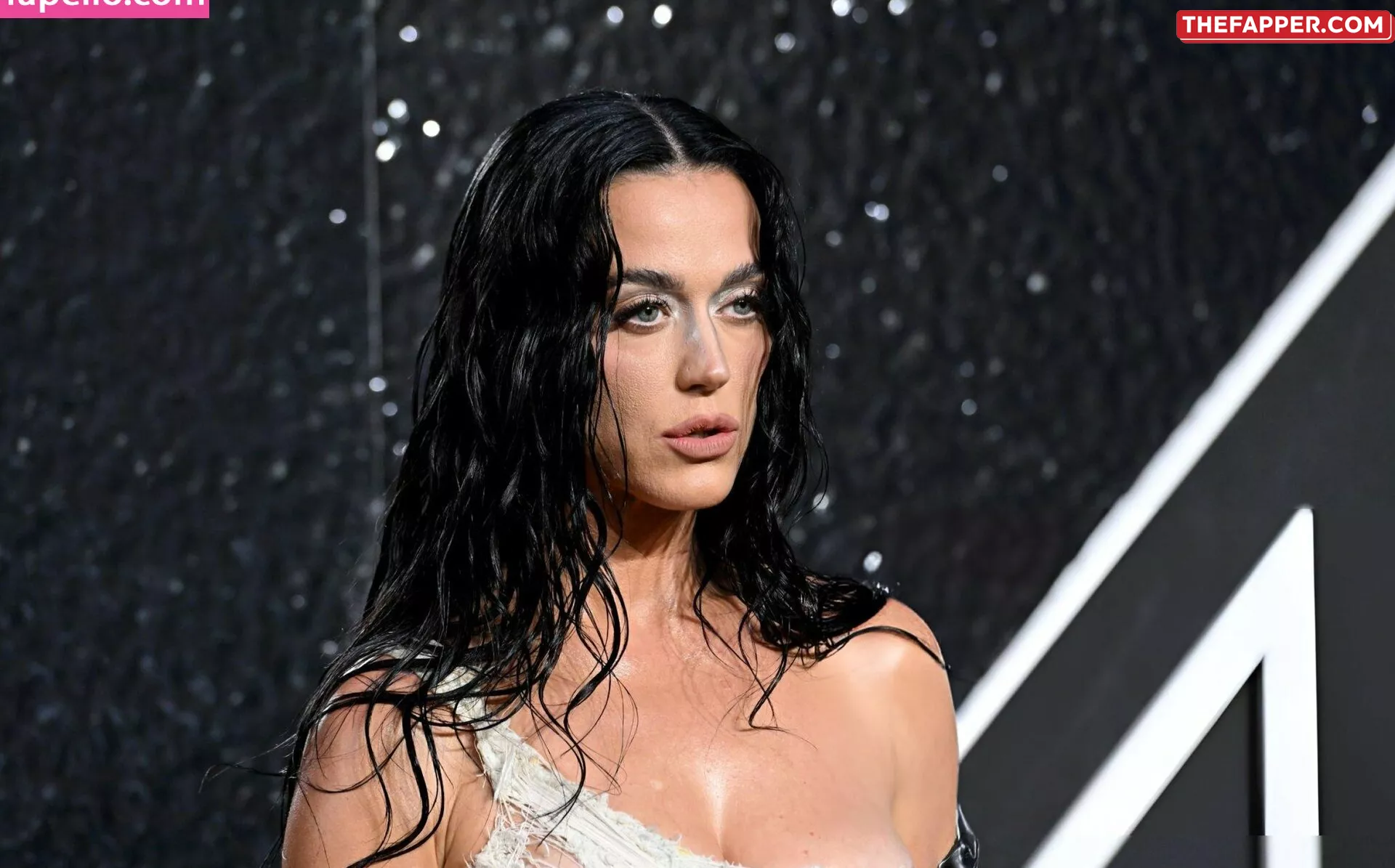  Katy Perry  Onlyfans Leaked Nude Image #XTmLttMgeQ