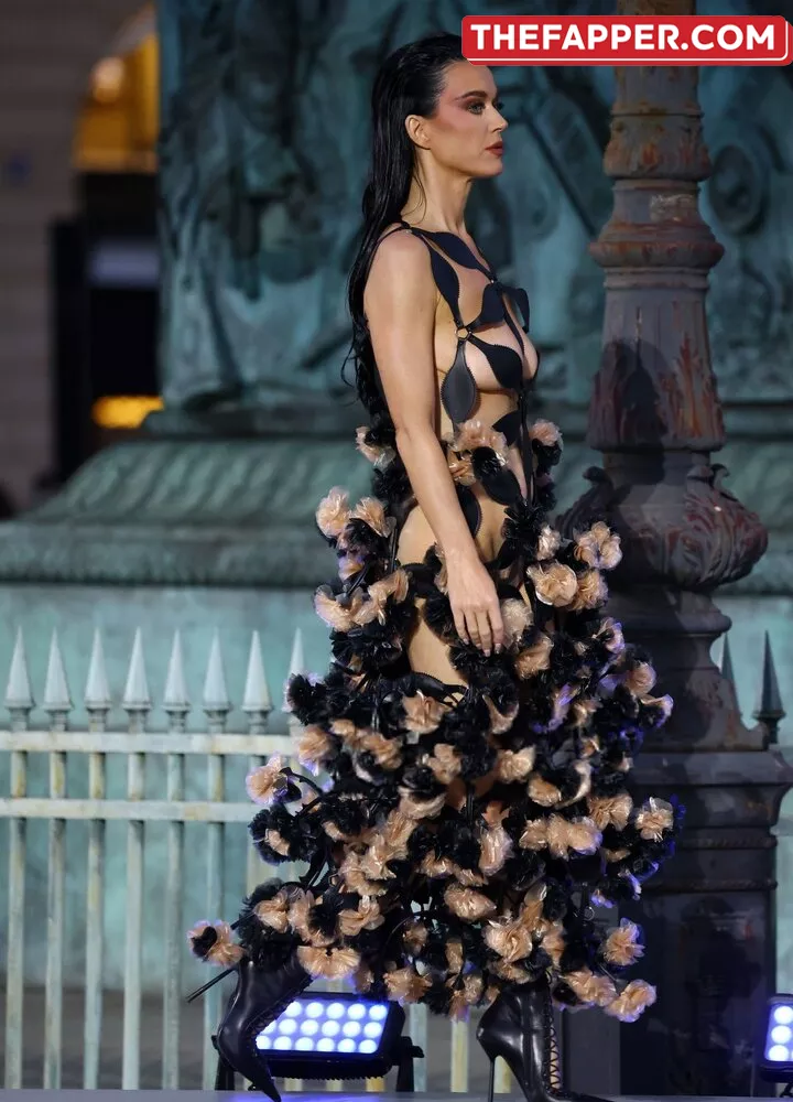  Katy Perry  Onlyfans Leaked Nude Image #a1F4qQ1MV1