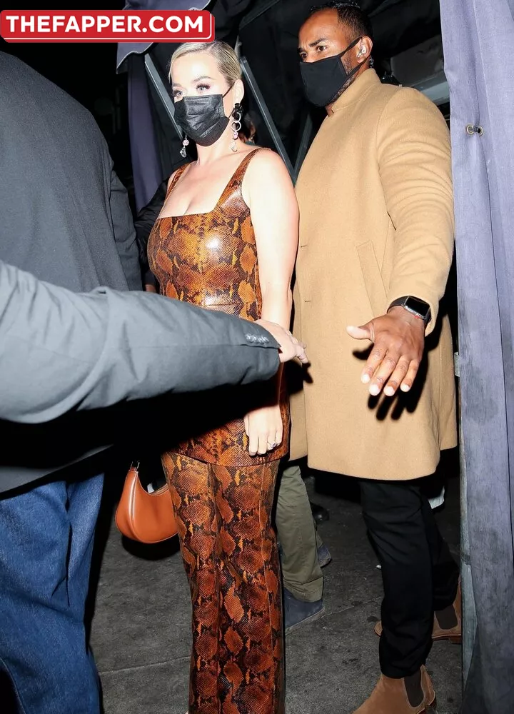  Katy Perry  Onlyfans Leaked Nude Image #datYl0j6lr