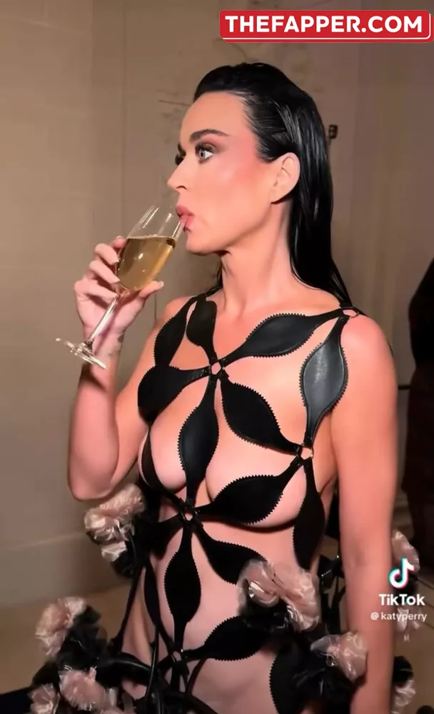  Katy Perry  Onlyfans Leaked Nude Image #l0nqoh963f