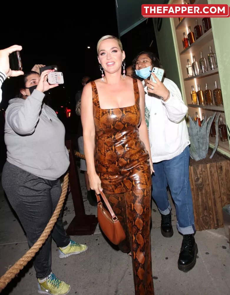  Katy Perry  Onlyfans Leaked Nude Image #pEg8oWd29U