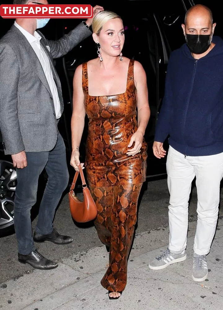  Katy Perry  Onlyfans Leaked Nude Image #tESnD2DOoI