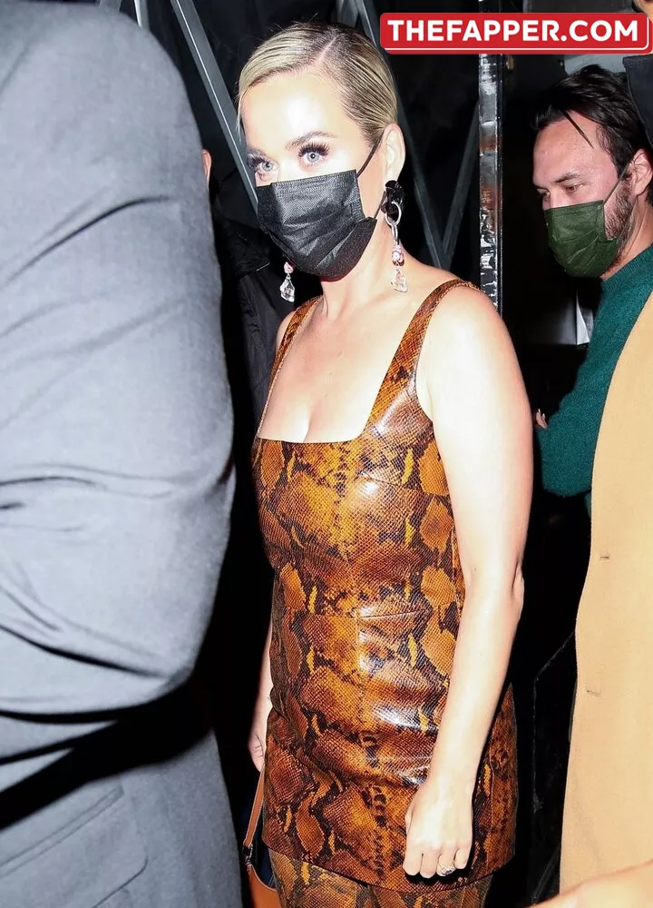  Katy Perry  Onlyfans Leaked Nude Image #tYDdEKL2SL