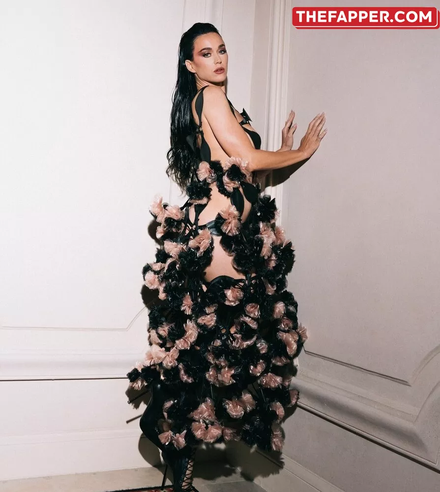  Katy Perry  Onlyfans Leaked Nude Image #wmkrobAQ2f