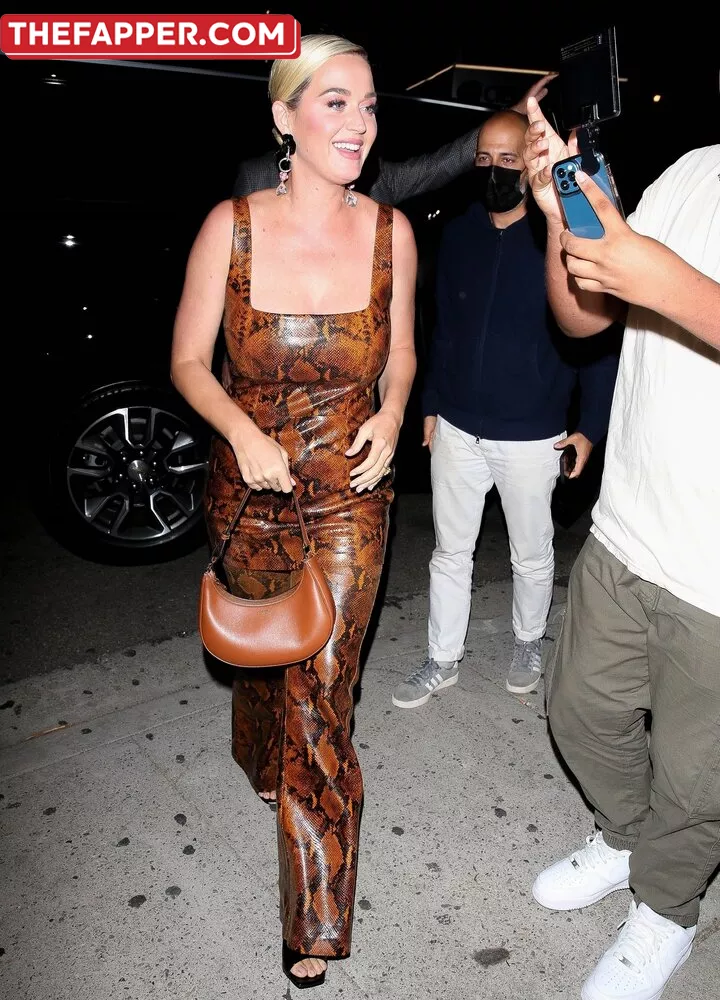  Katy Perry  Onlyfans Leaked Nude Image #zxyy1m05op