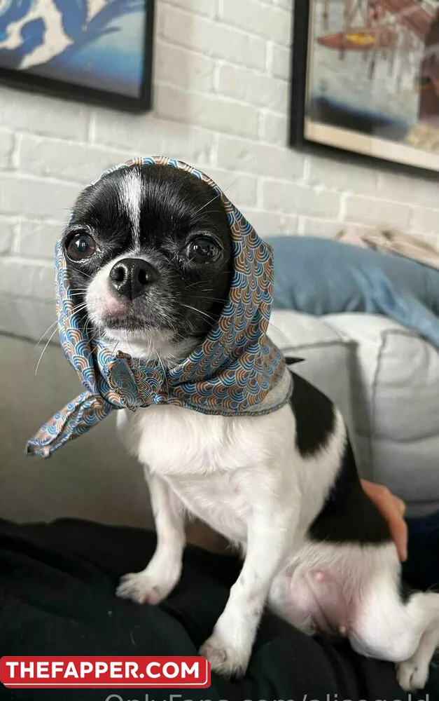 Alisegold  Onlyfans Leaked Nude Image #VB1qdIzlTD