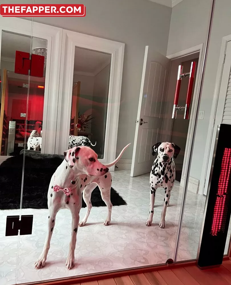 Amanda Cerny  Onlyfans Leaked Nude Image #EA2d5ZxIvB