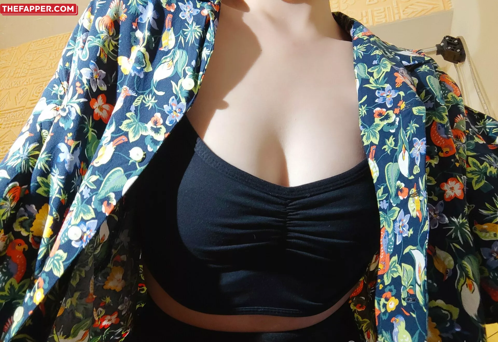 Anaimiya  Onlyfans Leaked Nude Image #nzteSiBXDz
