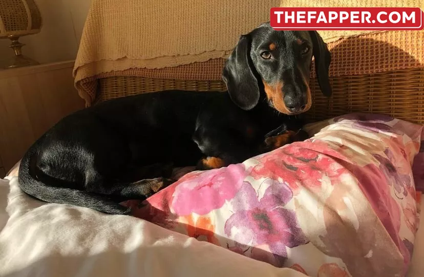 Angelica Sharpe  Onlyfans Leaked Nude Image #QDy8o1kLDG