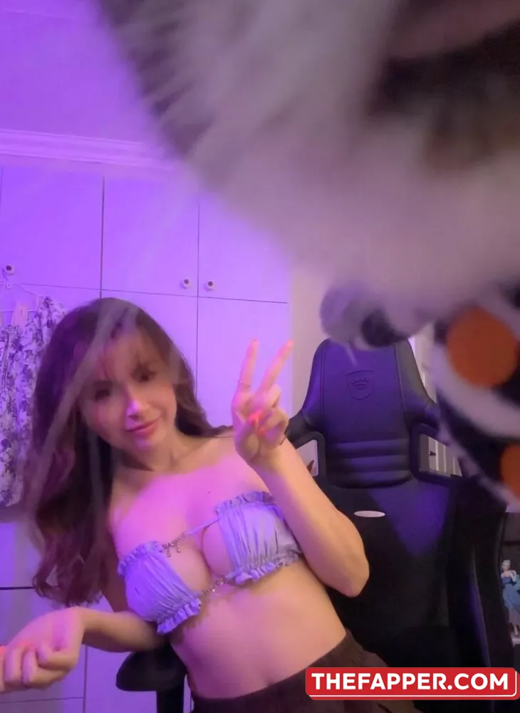 Animaechan  Onlyfans Leaked Nude Image #7lWLRBMXyC