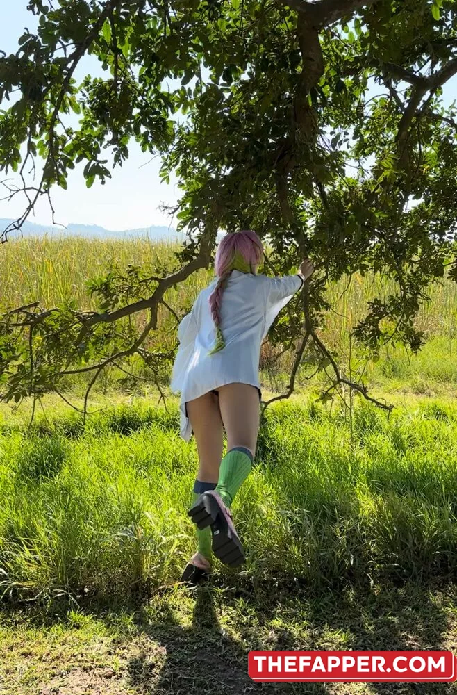 Animaechan  Onlyfans Leaked Nude Image #dLFr2Ibk6R