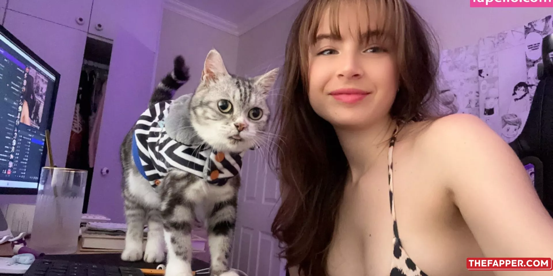 Animaechan  Onlyfans Leaked Nude Image #y65wT6aH7d