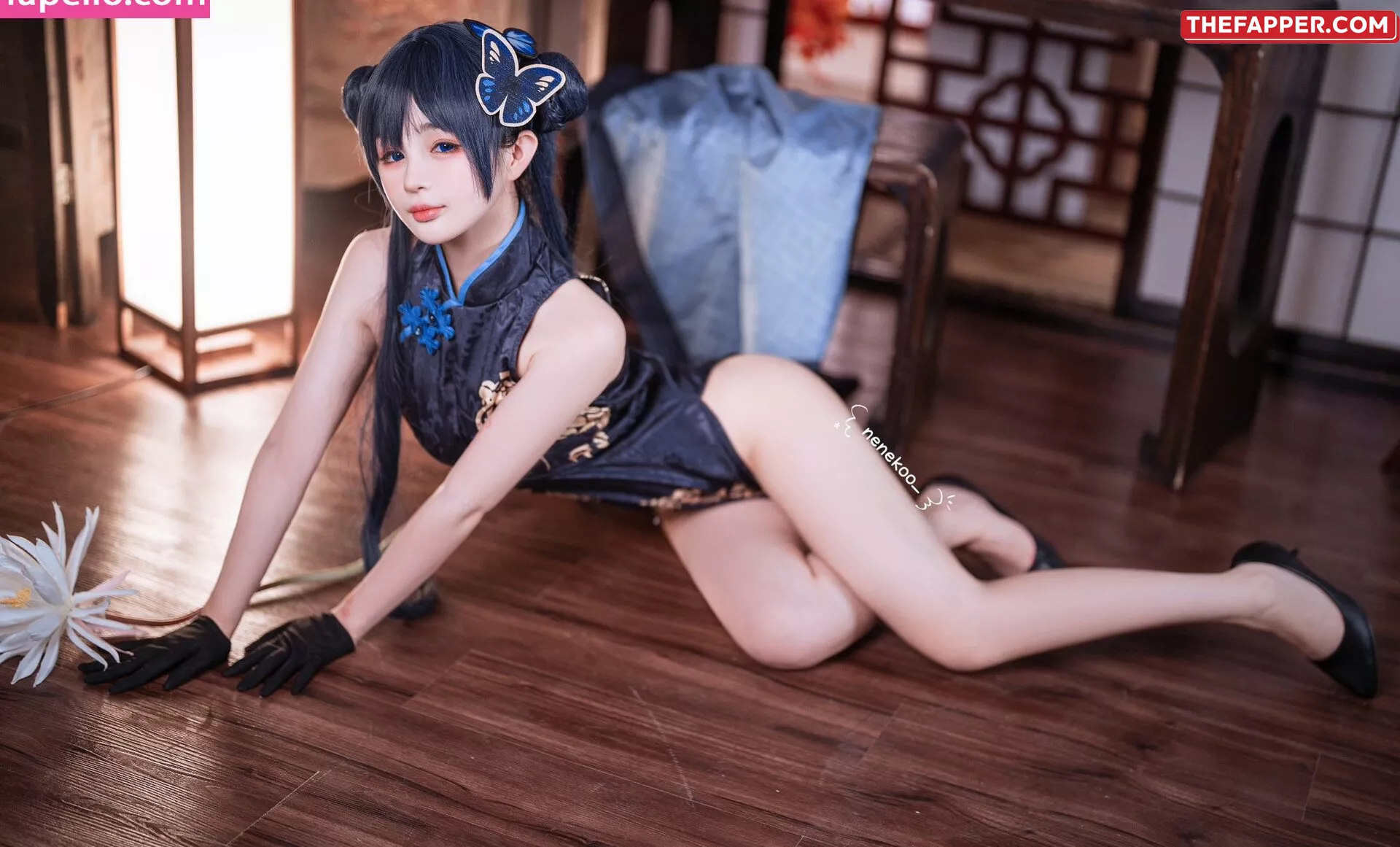 Aninnyan  Onlyfans Leaked Nude Image #kFoOMHV4Vx