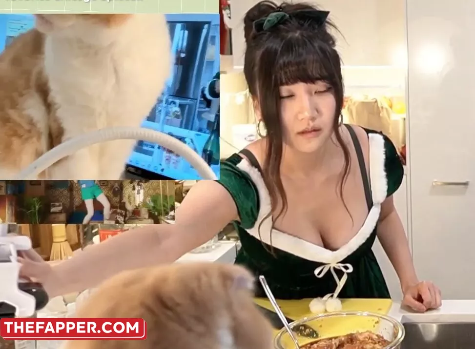 Ariasaki  Onlyfans Leaked Nude Image #1aXxXsY9Sr