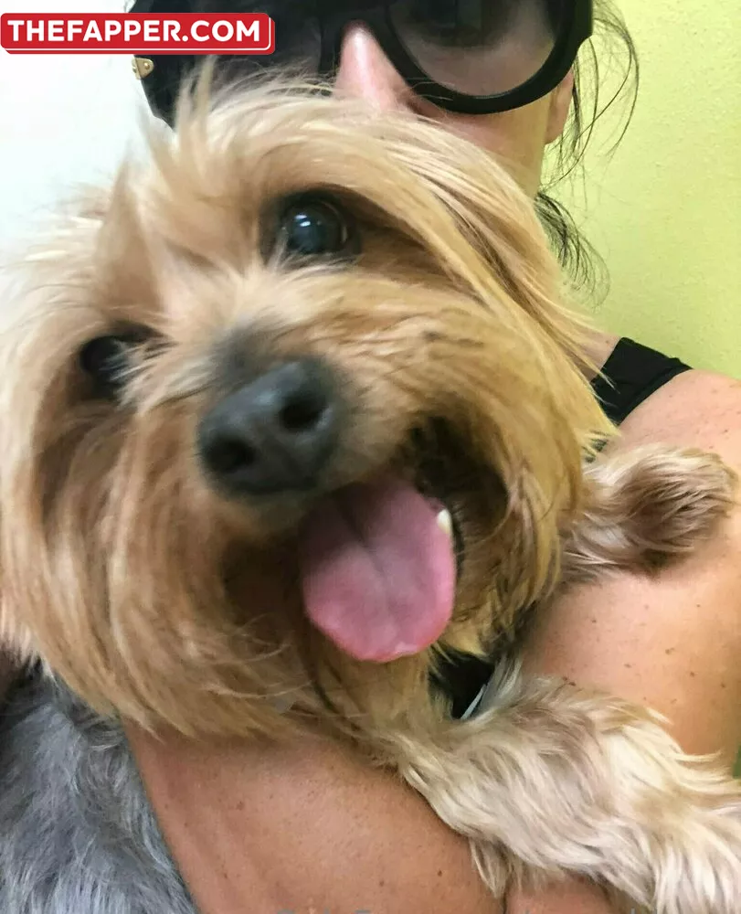 Avaaddams  Onlyfans Leaked Nude Image #nqQA8RBoTK