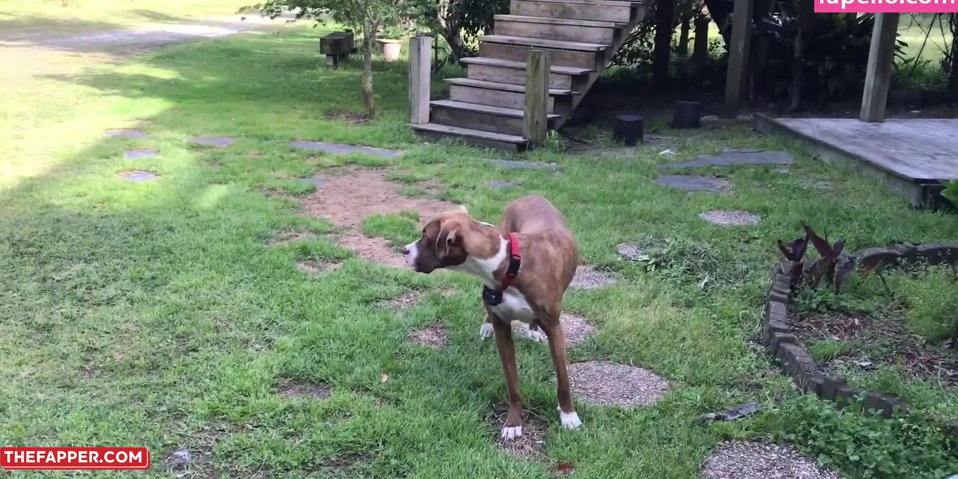 Bansheemoon  Onlyfans Leaked Nude Image #fmEtZrTc7U