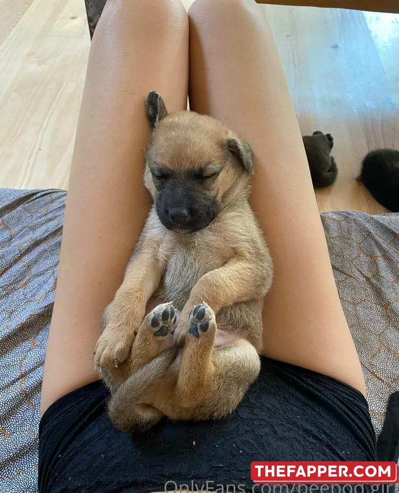 Beeboo.girl  Onlyfans Leaked Nude Image #I39MZ9IrCA