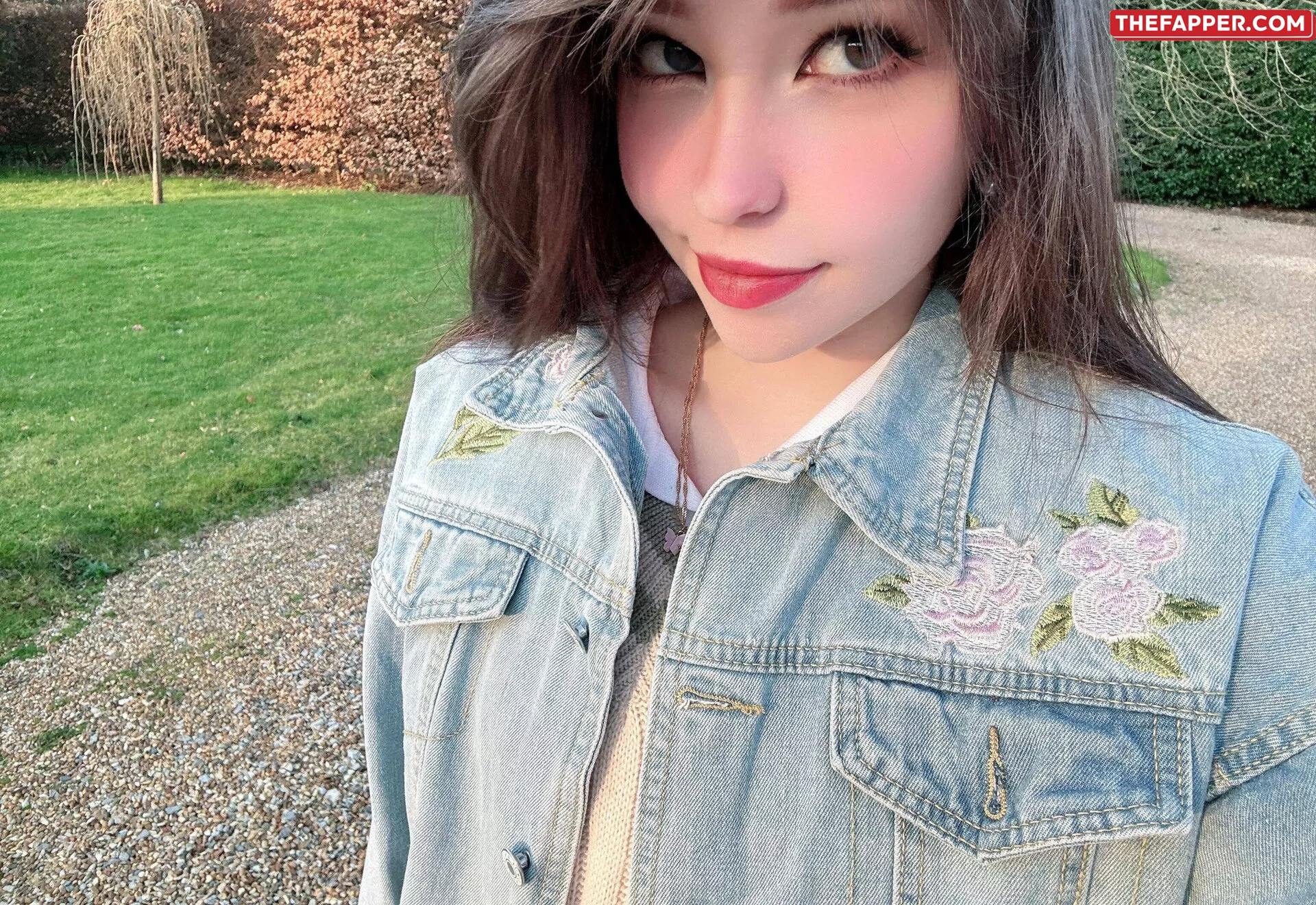 Belle Delphine  Onlyfans Leaked Nude Image #JcCt8F4BT5
