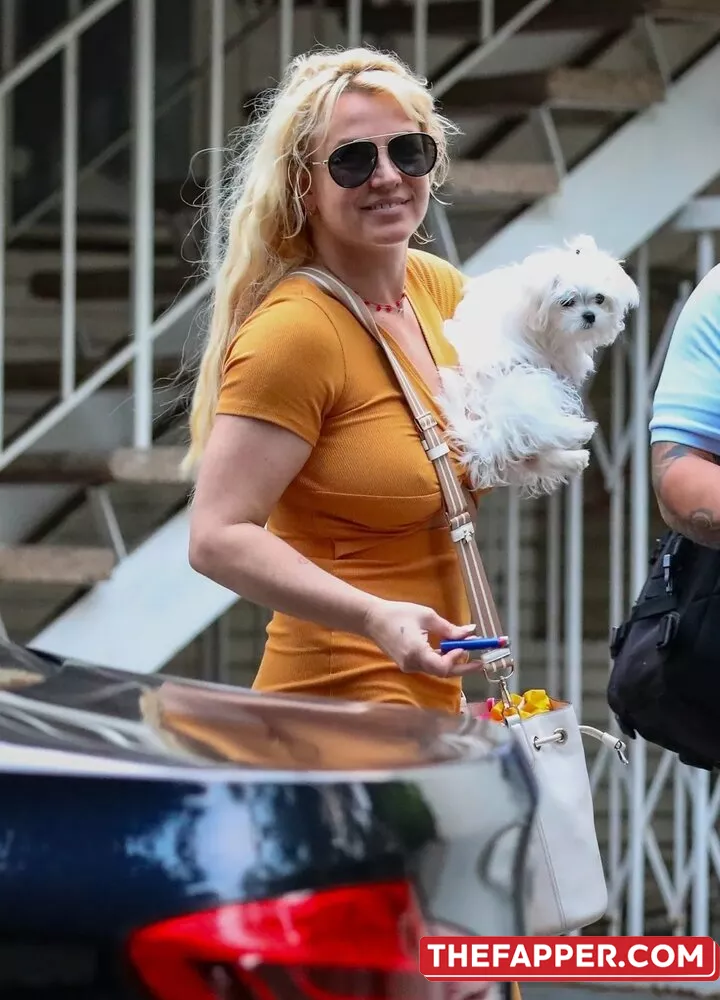 Britney Spears  Onlyfans Leaked Nude Image #09dcBYOAPM