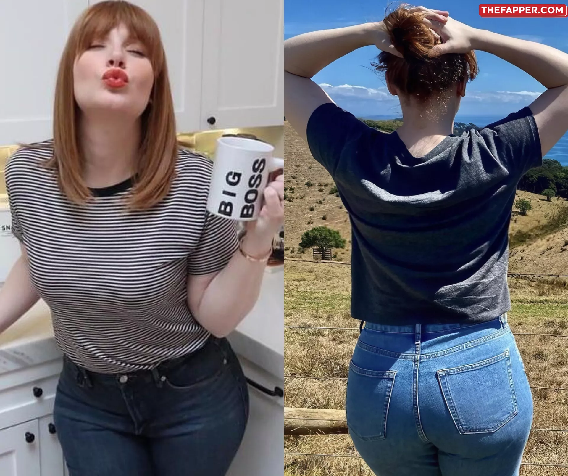 Bryce Dallas Howard  Onlyfans Leaked Nude Image #e4FWyUmle7