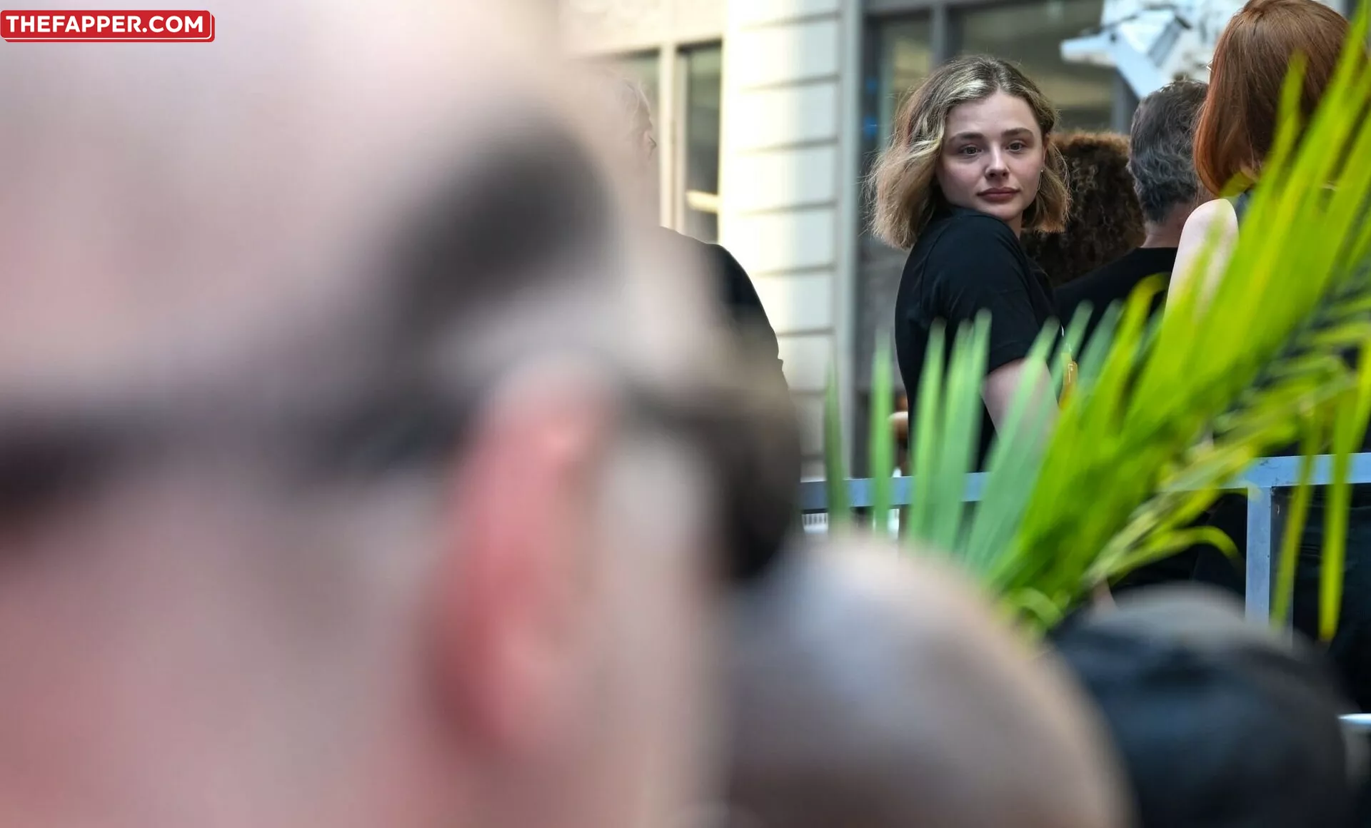 Chloë Grace Moretz  Onlyfans Leaked Nude Image #UbDmeJJnvE