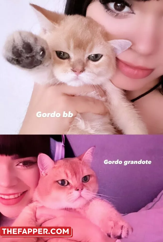 Chxrryxblossom  Onlyfans Leaked Nude Image #3JvMAerAsC