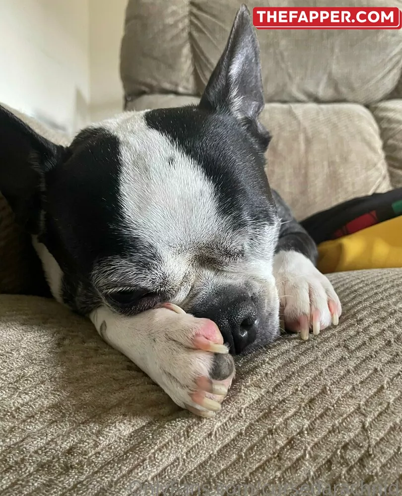 Cursedarachnid  Onlyfans Leaked Nude Image #Xky1ICF9fT