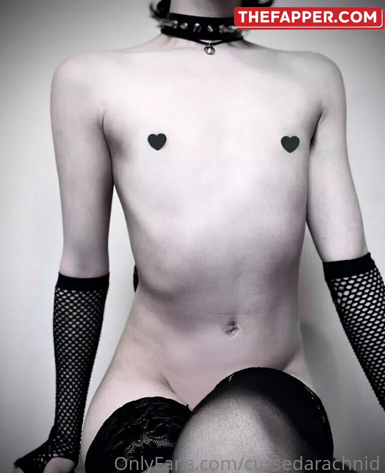 Cursedarachnid  Onlyfans Leaked Nude Image #fagQDGMVDB