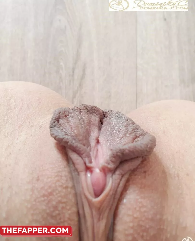 Dominika C  Onlyfans Leaked Nude Image #KWiw07CPD5