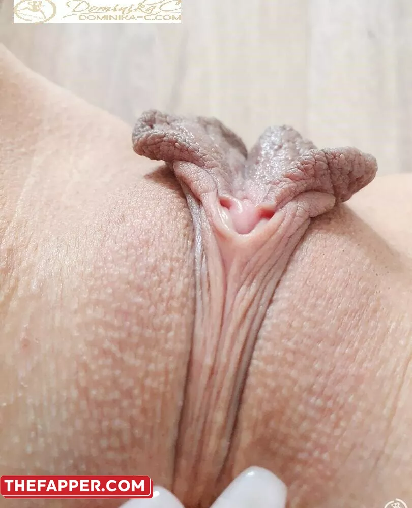 Dominika C  Onlyfans Leaked Nude Image #TJsSeVnsaw