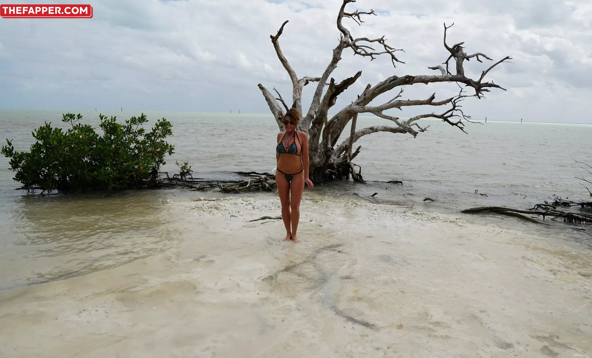 Dreampixsxm  Onlyfans Leaked Nude Image #6zcwI6ngTa