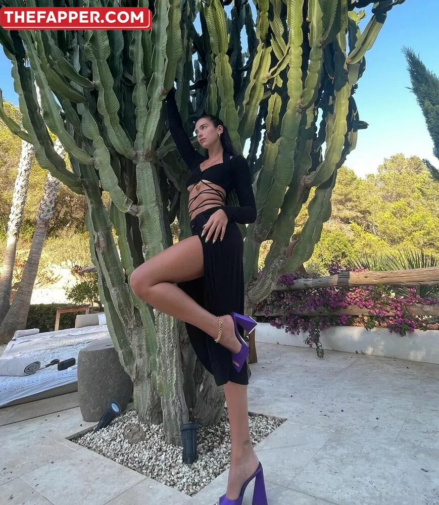 Dua Lipa  Onlyfans Leaked Nude Image #DPLMyqCA5a